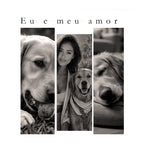 Meu Pet em 3 momentos