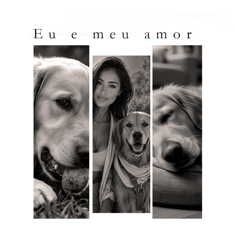 Meu Pet em 3 momentos