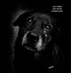 Que nunca nos falte Humanidade (Orelha) - Black